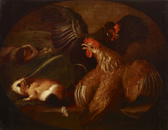 Hens and Guinea Pigs by Giovanni Agostino Cassana
