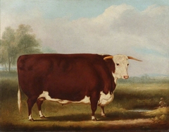 Hereford Bull by William Henry Davis