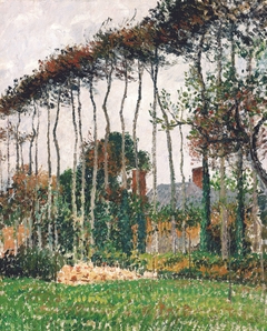 Les grands hêtres à Varengeville by Camille Pissarro