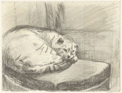 Liggende kat, op een stoel by Guillaume Anne van der Brugghen