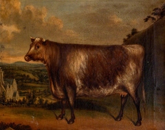 'Lunette': Prize Cow,  Winner of the 1st Prize at Modbury, 1850 by George Edward Hysum