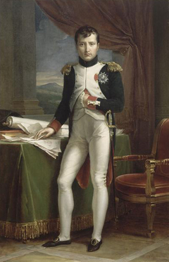 Napoléon Ier en uniforme de colonel des grenadiers à pied de la Garde