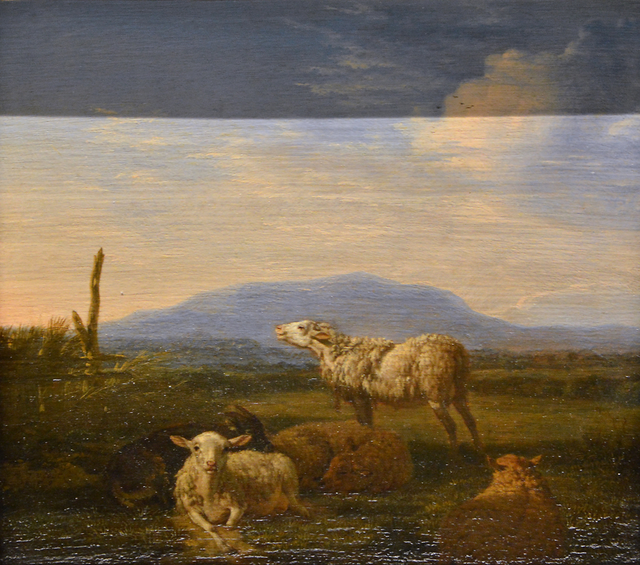 Paysage : moutons et chèvres