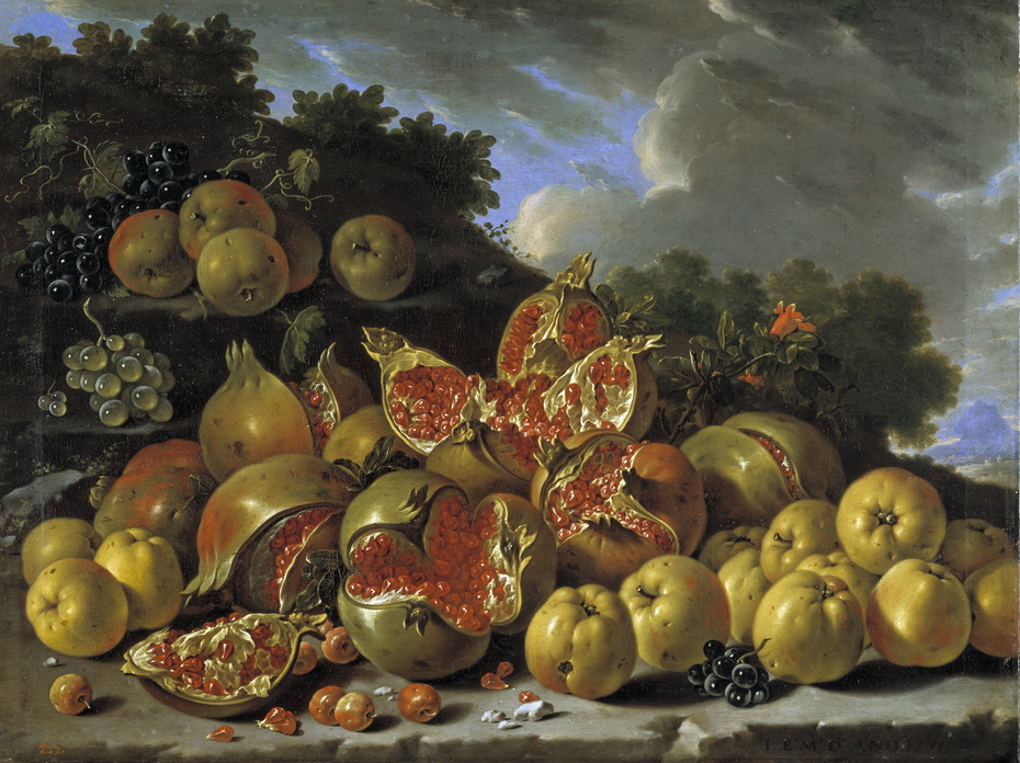 Pomegranates, apples, haws and grapes in a landscape