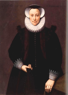 Portrait of a Lady by Frans Pourbus the Younger