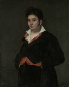 Portrait of Don Ramón Satué by Francisco José de Goya y Lucientes