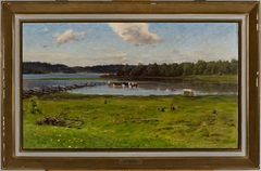 Shore Landscape from Åland by Elias Muukka