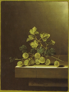 Spray of Green Gooseberries on a Stone Plinth