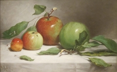 Still Life--Study of Apples by William Rickarby Miller