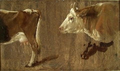 Study of Cows by Johan Christian Dahl