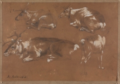 Study of four Reindeers