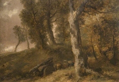 Study Of Trees by John Gilbert