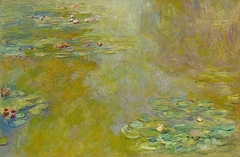 The Water-Lily Pond