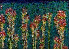 Torch Lillies by Celine Donegan
