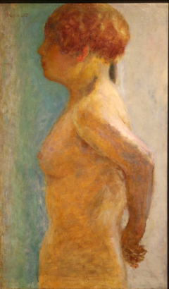 Torso of woman, profile by Pierre Bonnard