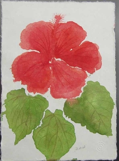 Untitled (Hibiscus 2) by Ruth Asawa