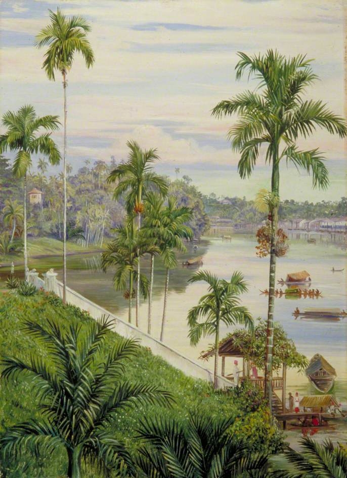 View down the River at Sarawak, Borneo