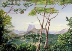 View of the Sugarloaf Mountain from the Aqueduct Road, Rio Janeiro by Marianne North