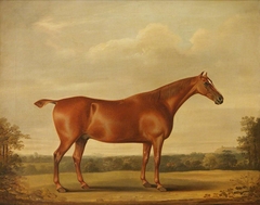 A Bay Stallion in a Landscape by Thomas Weaver
