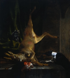 A Dog and a Cat near a partially disembowelled Deer by Jan Baptist Weenix