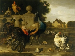 A Turkey Cock and other Birds in a Garden by Melchior d'Hondecoeter