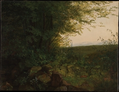 At the Edge of the Forest by August Heinrich