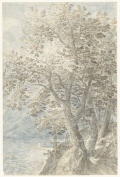 Bomen bij steile rotswand by Pieter Stevens I