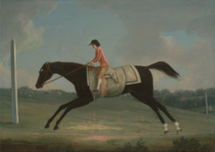 Borlase Cokayne as a Boy riding Sultana by Thomas Smith