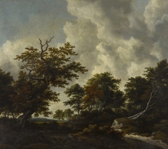 Bosky landscape with a large oak and two fallen beeches by a waterfall by Jacob van Ruisdael