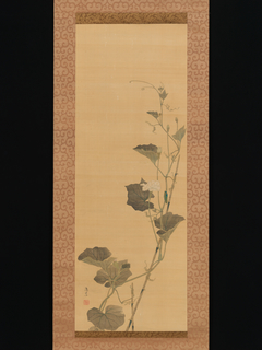 Calabash Flowers and Beetle by Maruyama Ōshin