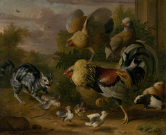 Cat among roosters