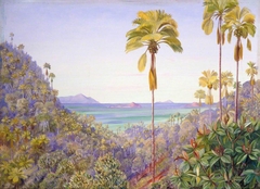 Coco de Mer Gorge in Praslin, Seychelles, with Distant View of Mahé Silhouette and the Cousins by Marianne North