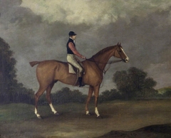 'Elis', a Chestnut Horse, ridden by J. Day by John Frederick Herring