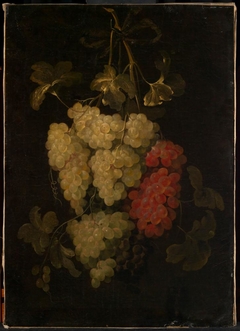 Garland of grapes by Frans van Everbroeck