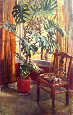 INTERIOR WITH PLANT
