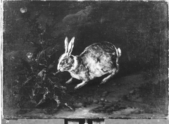 Kaninchen by Philipp Ferdinand de Hamilton