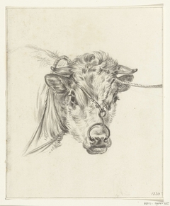 Kop van een koe, met een ring door de neus by Jean Bernard