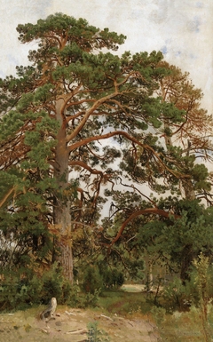Landscape with pine by Ivan Shishkin