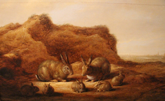 Landscape with rabbits by Aelbert Cuyp