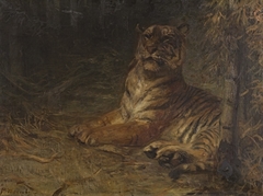 Liegender Tiger im Dschungel by Paul Friedrich Meyerheim