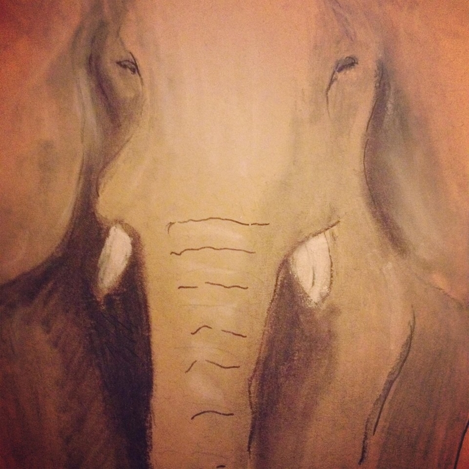 Lines of elephant