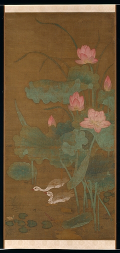Lotus and waterbirds