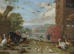 Peacock and Other Birds by Jan van Kessel the Younger