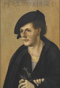 Portrait of a Young Man by Hans Schäufelein the Elder