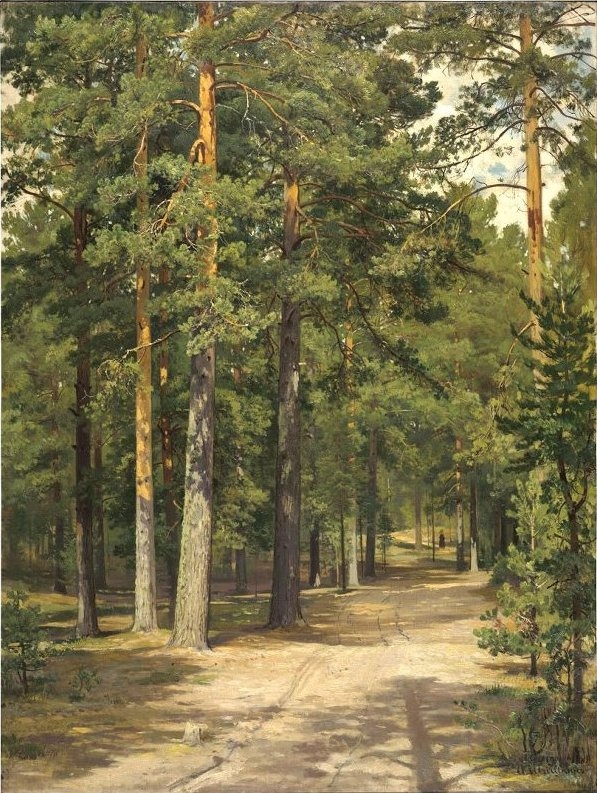 Road in the Pine Forest