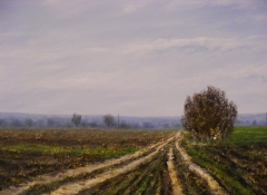 Rural road in early spring-2