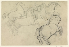 Schetsblad met diverse studies van paarden by Leo Gestel