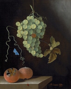 Still Life with a Hanging Bunch of Grapes, Two Medlars, and a Butterfly