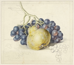 Stilleven met druiven en een peer by Georgius Jacobus Johannes van Os