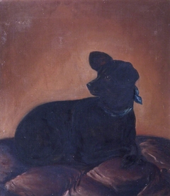 Study of a Black Dog